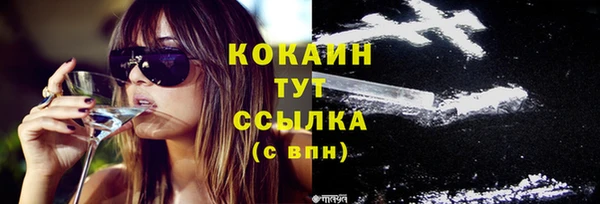 стаф Новозыбков