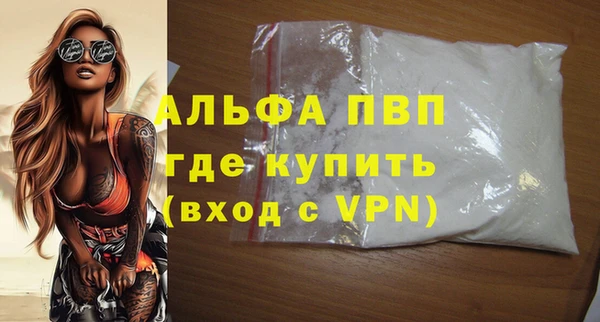 стафф Новодвинск