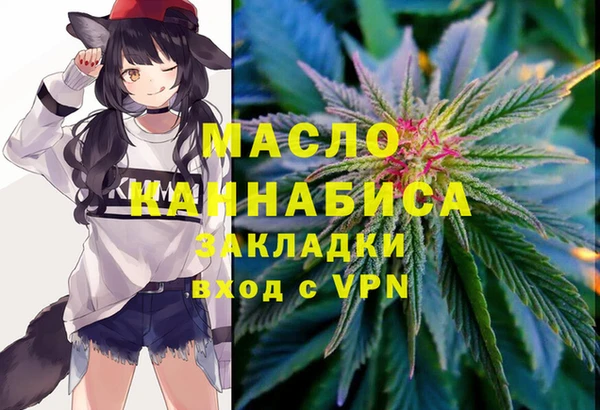 стафф Новодвинск