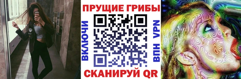 ОМГ ОМГ рабочий сайт  Новый Уренгой  Галлюциногенные грибы Psilocybine cubensis 