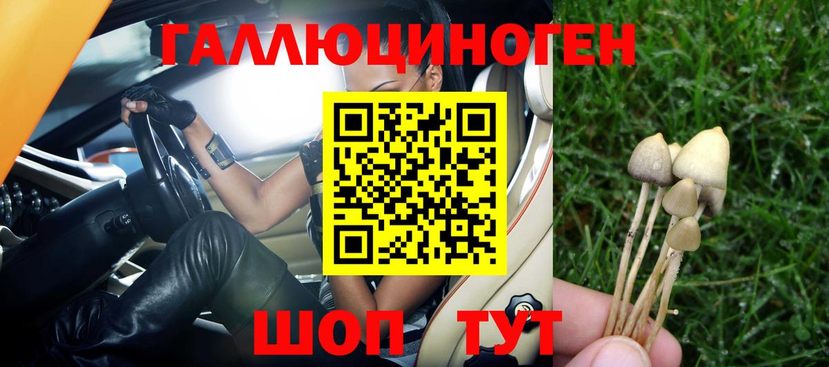 цена   Псилоцибиновые грибы Magic Shrooms  Вход с VPN  Новый Уренгой 